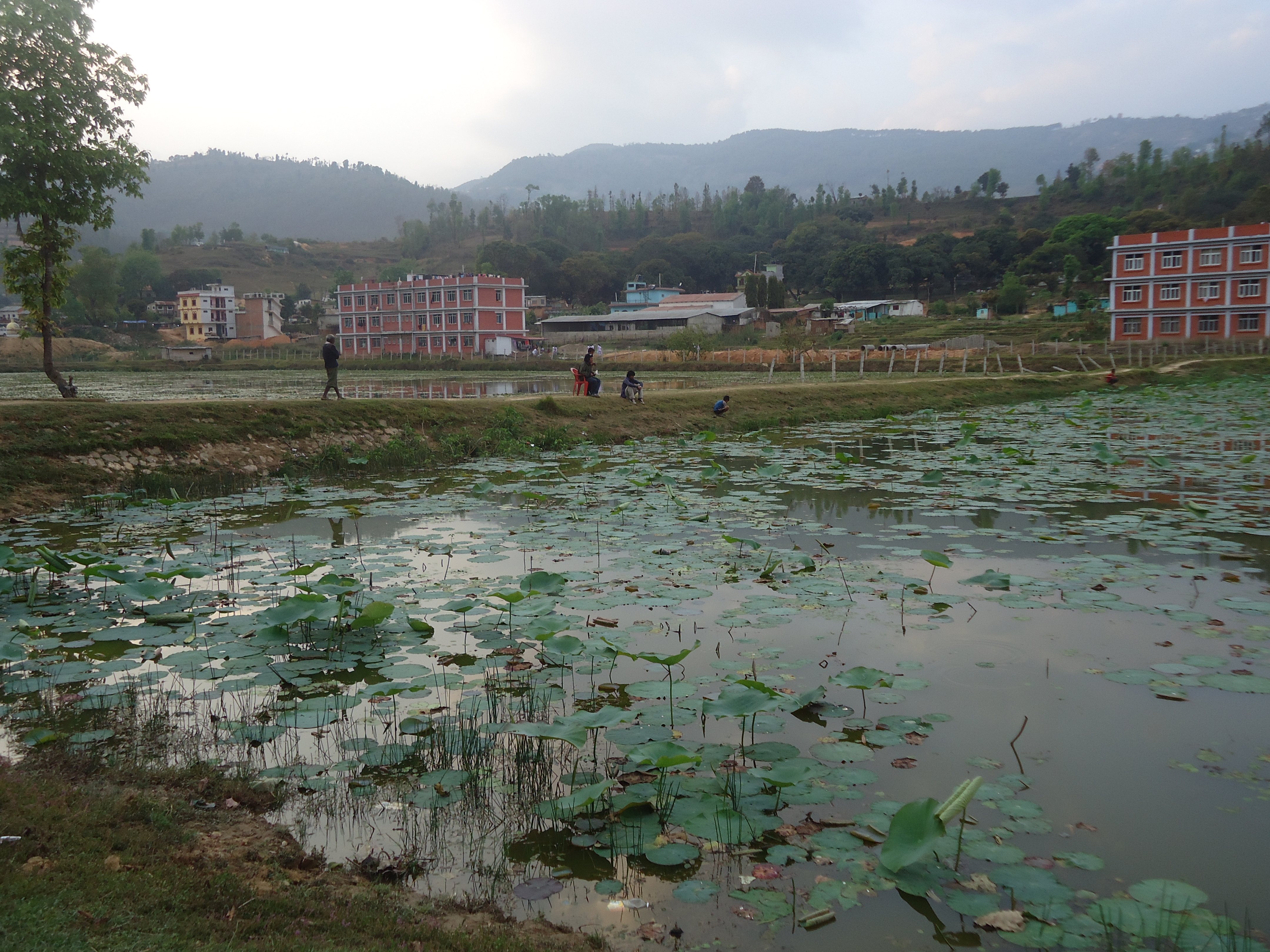 Pravas pond Palpa.JPG